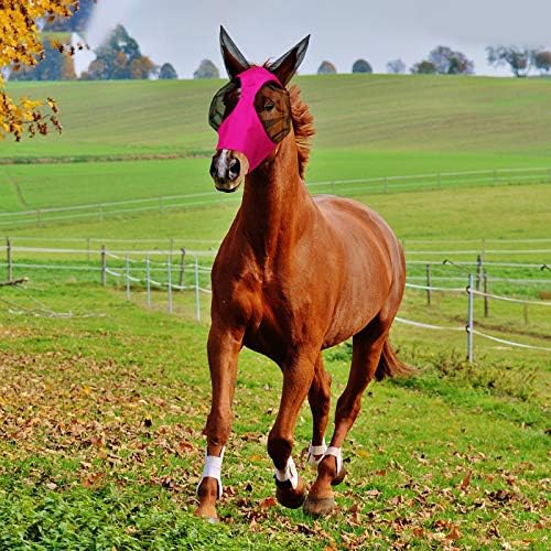 Маска за езда 2 бр. Маска за езда с ушите си Гладка и Еластична Маска за езда с защита от uv (L, Лилаво, розово)